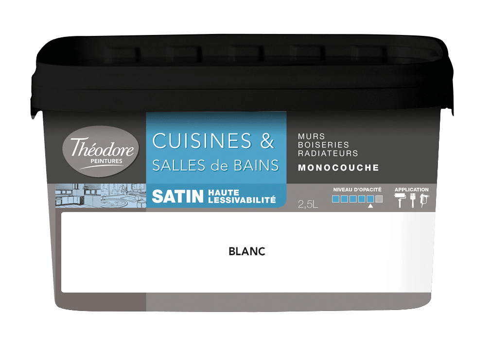 CUISINES & SALLES DE BAINS SATIN LESSIVABLE MONOCOUCHE