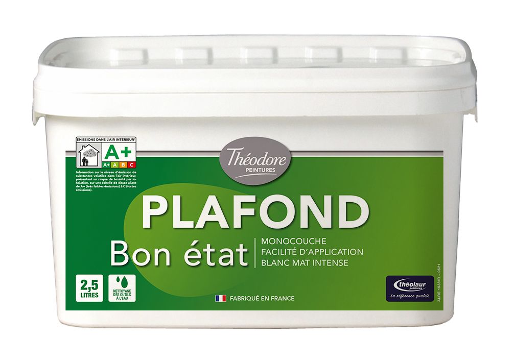 PLAFOND BON ETAT