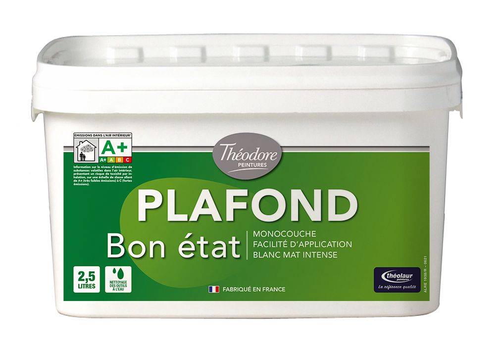 PLAFOND BON ETAT