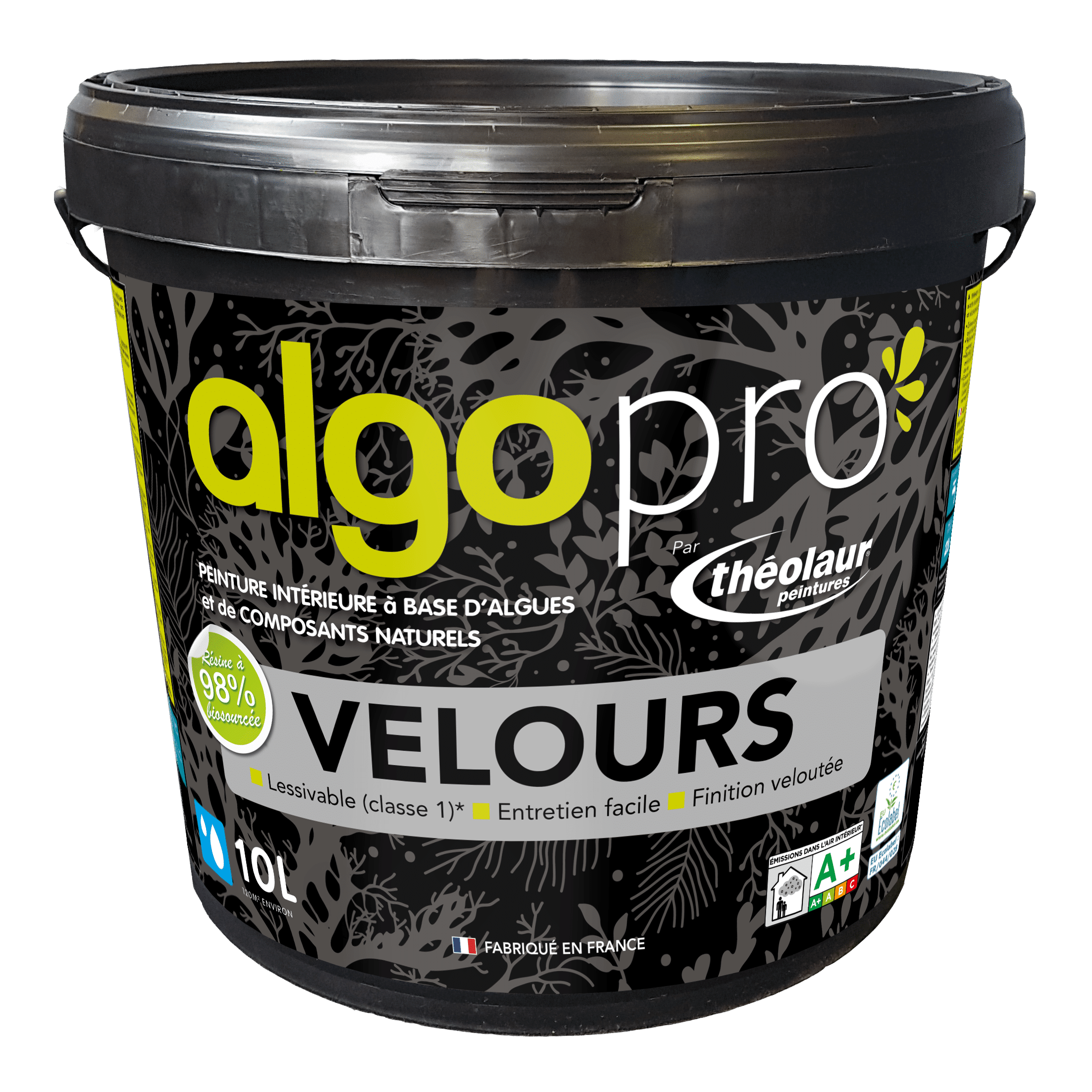 ALGO VELOURS