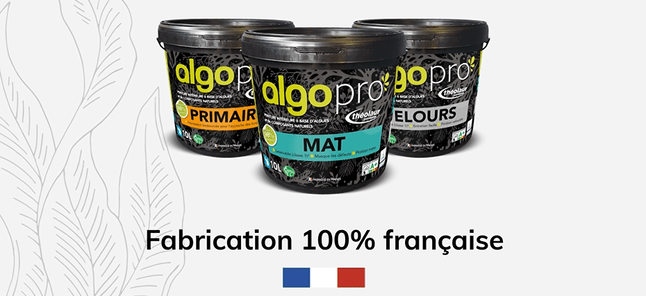 fut de peinture algopro